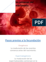 Desarrolloembrionario PDF