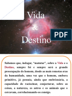 Vida&destino