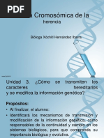 Teoría Cromosómica de La Herencia