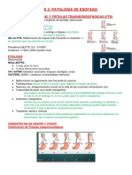 Clase 2 - Patología de Esófago