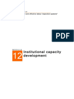 3.ILO-Institutional Capacity Development