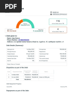 Free Bird - Simple Debt Tracker PDF