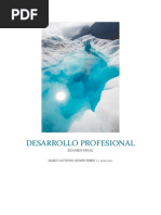 Desarrollo Profesional 2