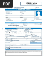 Formato - HV - Jefe de Operaciones