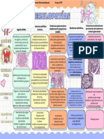 Glomerulopatías