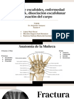 Fractura de Escafoides, Enfermedad de Kienbock, Disociación Escafolunar y Luxación Del Carpo PDF