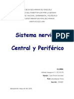 Cuadro Comparativo-Sistema Nervioso Central y Periferico