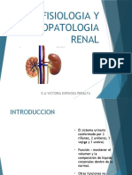 1° Fisiologia y Fisiopatologia Renal