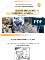 Tema 6. Inclusiones Citoplasmáticas y Procesamiento de Muestras