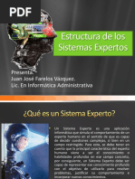 Estructura de Los Sistemas Expertos