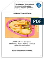 Isoinmunizacion Materno Fetal