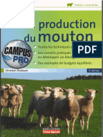 La Production Du Mouton