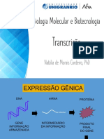 Aula 3 - Transcrição