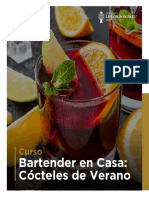 Bartender en Casa Cocteles de Verano