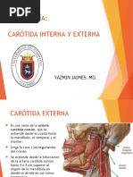 Angiología: Carótida Interna Y Externa: Yazmin Jaimes. MD