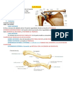 10 Huesos PDF