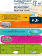 Morfologia Colonial PDF