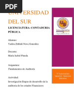 Etapas de Desarrollo de Auditoria