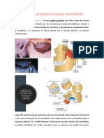 Complejo Articular Témporo Mandibular