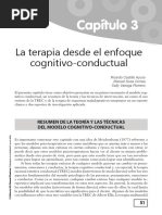 Cap 3 PDF