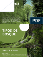 Ecosistema Bosque