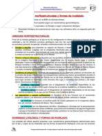 T.03. Unidades Morfoestructurales y Litologia.