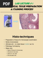 Histology Lab Lec 1 - Tissue Preparation & Staining