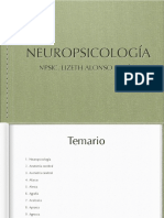 Neuropsicologia PDF