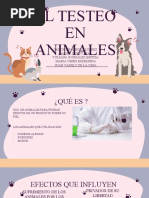 Testeo en Animales