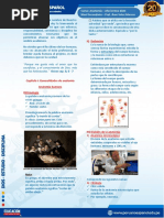 Ebea231678202357generalidadesdeanatomía PDF