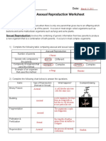 Kami Export - Imman Sheikh - Sexual and Asexual Handout