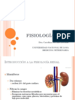 Filtración Glomerular