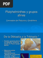 Tiblastiaplatyzoa y Afines