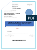 Rapport de Corrige1