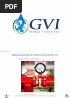 GVI Brochure PDF