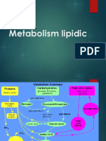 Metabolism Lipidic PDF