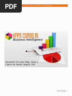 Vfps Cubos Bi Business Intelligence