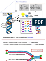 4 Aula Genetica Recombinacao