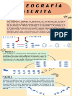 Coreografia Grupal PDF