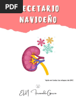 Recetario Navideño Erc PDF