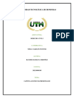 Tarea Regimenes Matrimoniales PDF