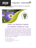 Desierto Florido 20