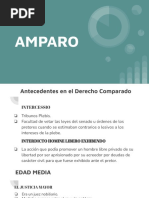 AMPARO