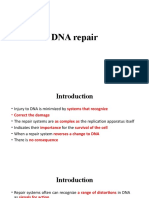 DNA Repair