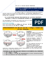 Retinopatia Del Prematuro