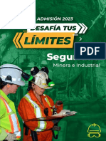 carrera-SEGURIDAD MINERA