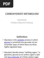 03 Carbohydrate Metabolism (Glycolysis)