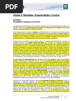 Lectura 4 - Nulidades, Irregularidades y Control PDF