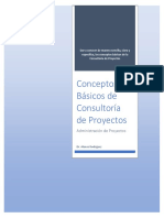 Consultoría de Proyectos 2023 PDF