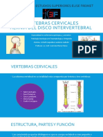 Vertebras Cervicales